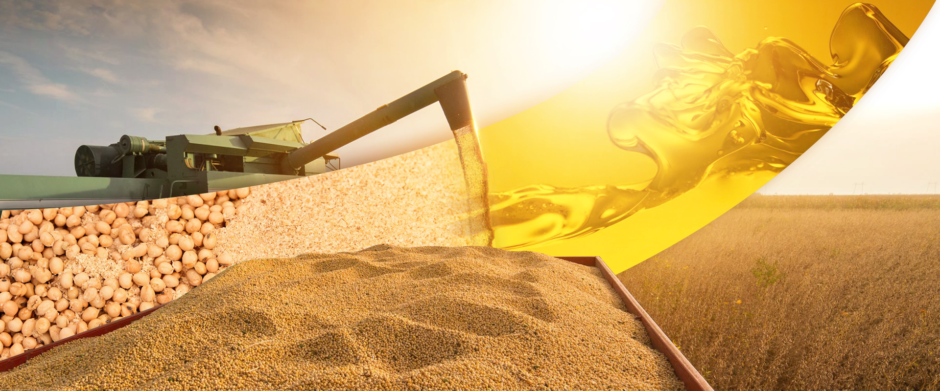 Farelo de Soja e Óleo Vegetal